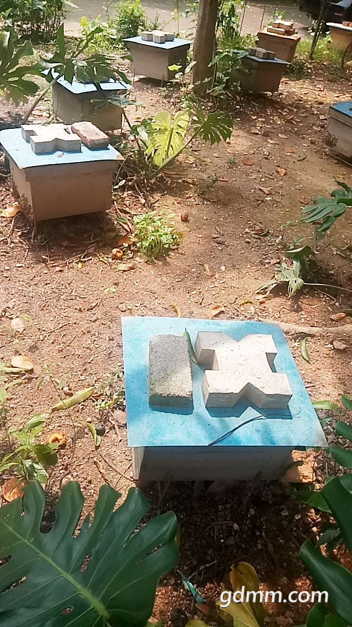 20190611_3275351_1560234751356.jpg