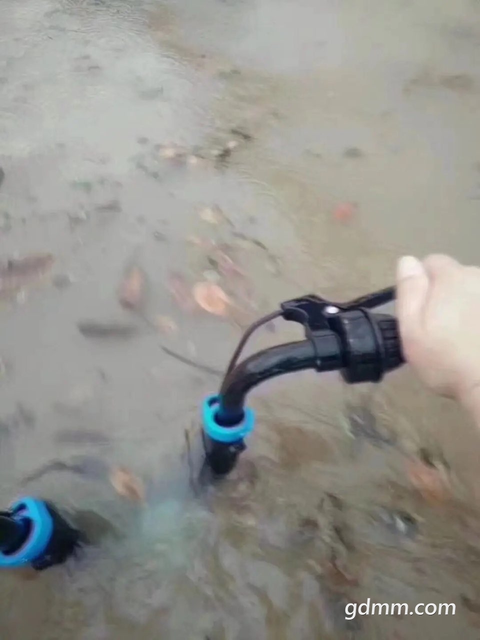2019061132835391560245399342107.jpg