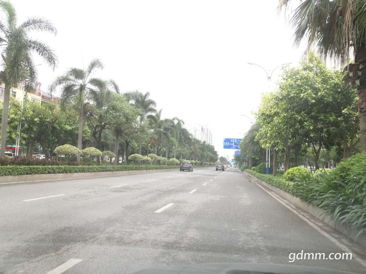 20190611_1590349_1560260256571.jpg