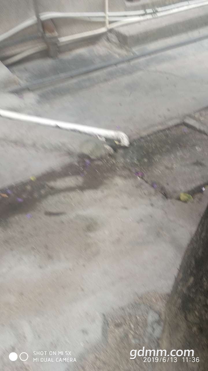 Ķ1.jpg