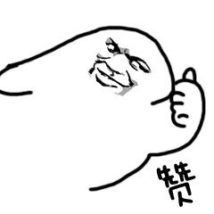 2019061532780981560531106271904.jpg