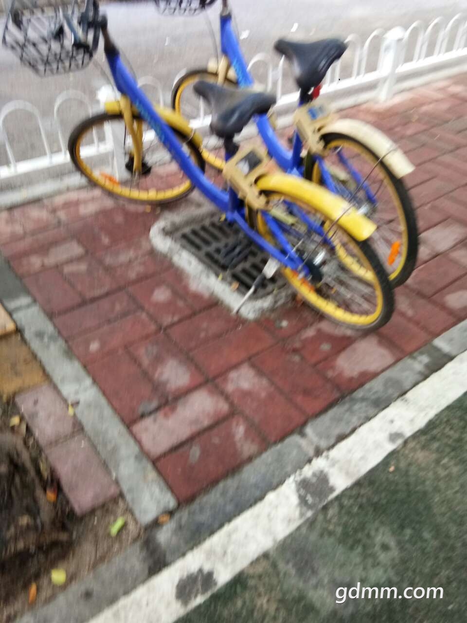20190619_3283671_1560907154933.jpg