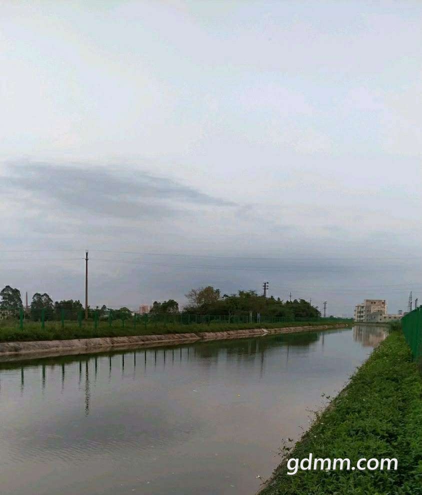 20190619_3252653_1560920627018.jpg