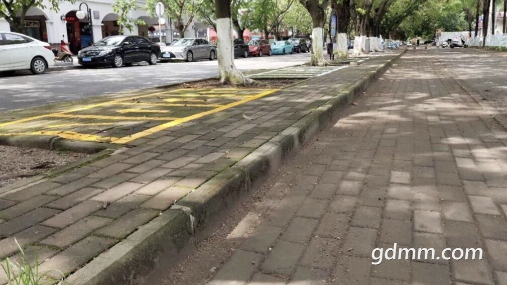 2019061932822001560936120780859.jpg
