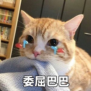 2019062132815401561124063692554.jpg
