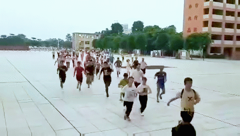 8cb1cb13495409233ca6e4839c58d109b2de4904.gif