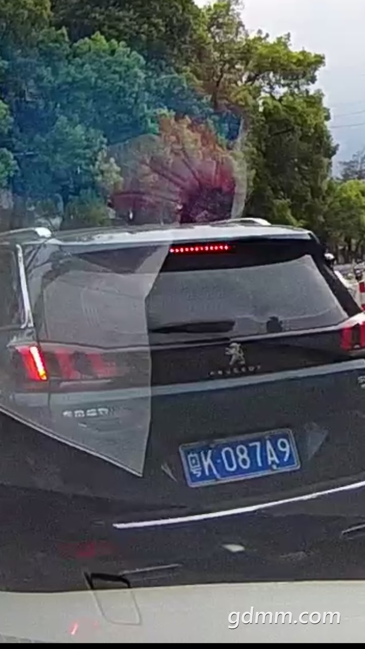 2019062532753021561457620002867.jpg