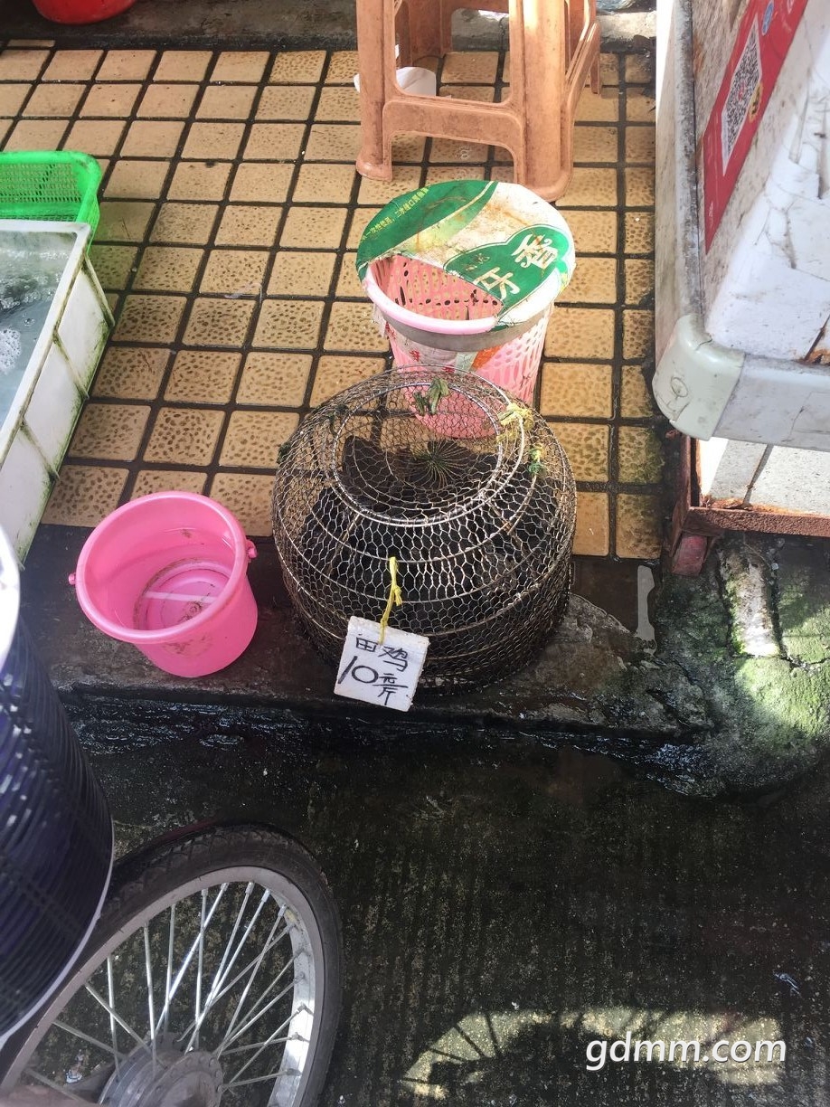QQͼƬ20190626091409.jpg