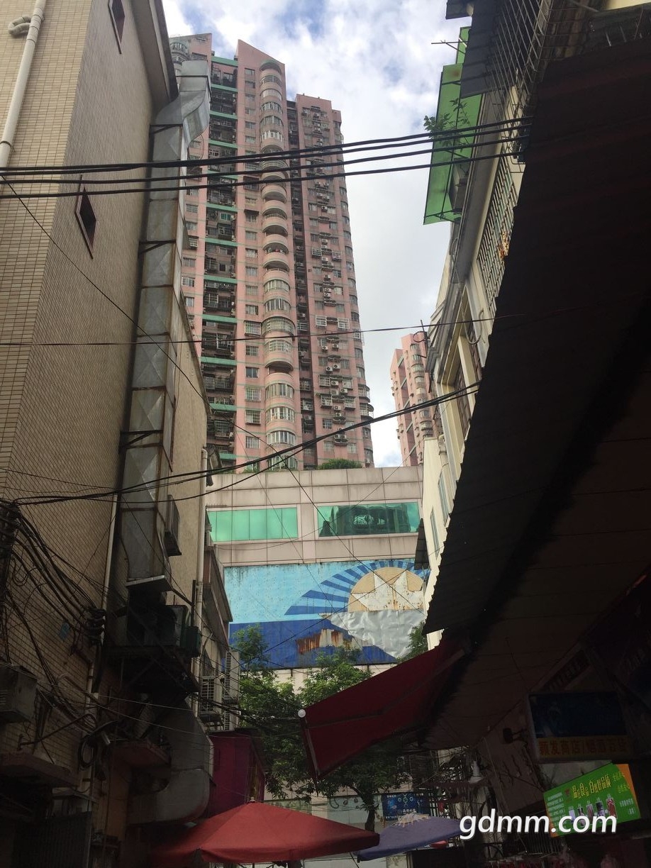 QQͼƬ20190626091508.jpg