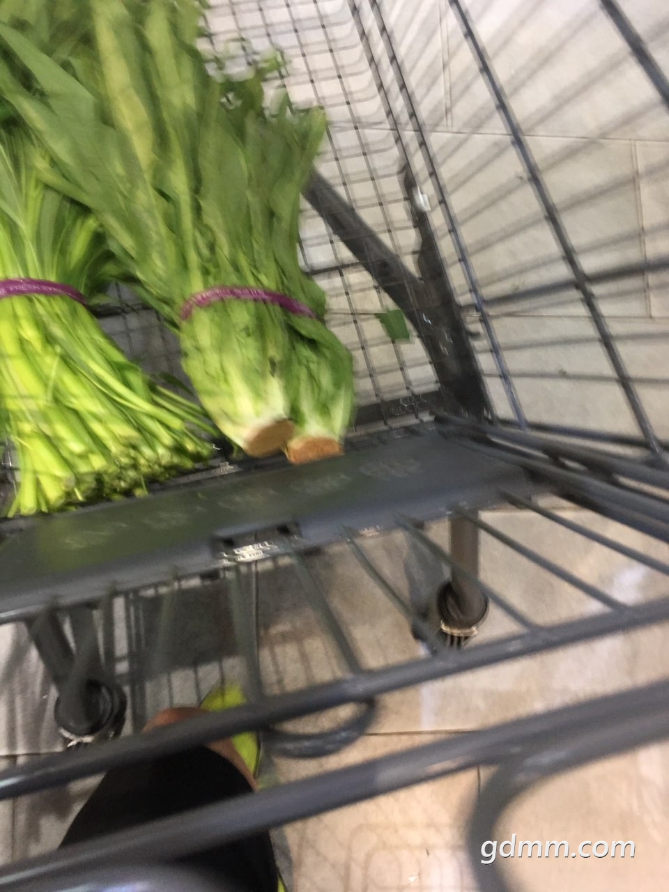 2019062632640561561522260778151.jpg
