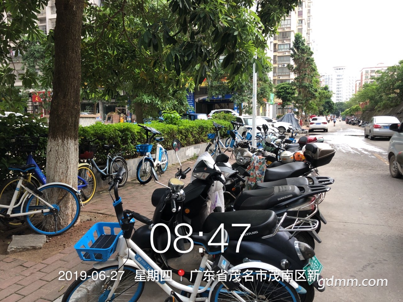 2019062732860291561622848588216.jpg