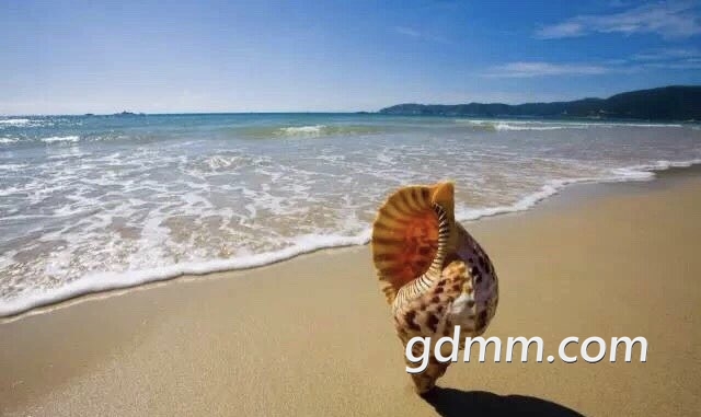 2019062832856011561696857766039.jpg