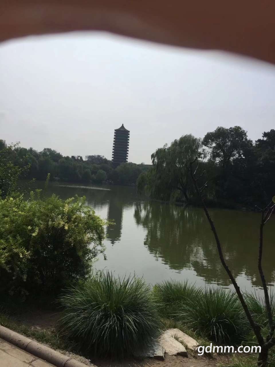 20190630_3285517_1561875281986.jpg