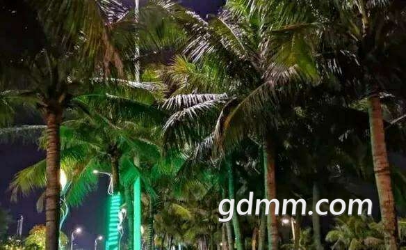 20190630_3211624_1561901017788.jpg