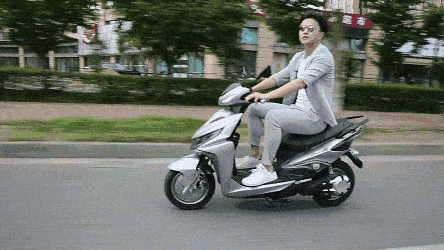 timg.gif