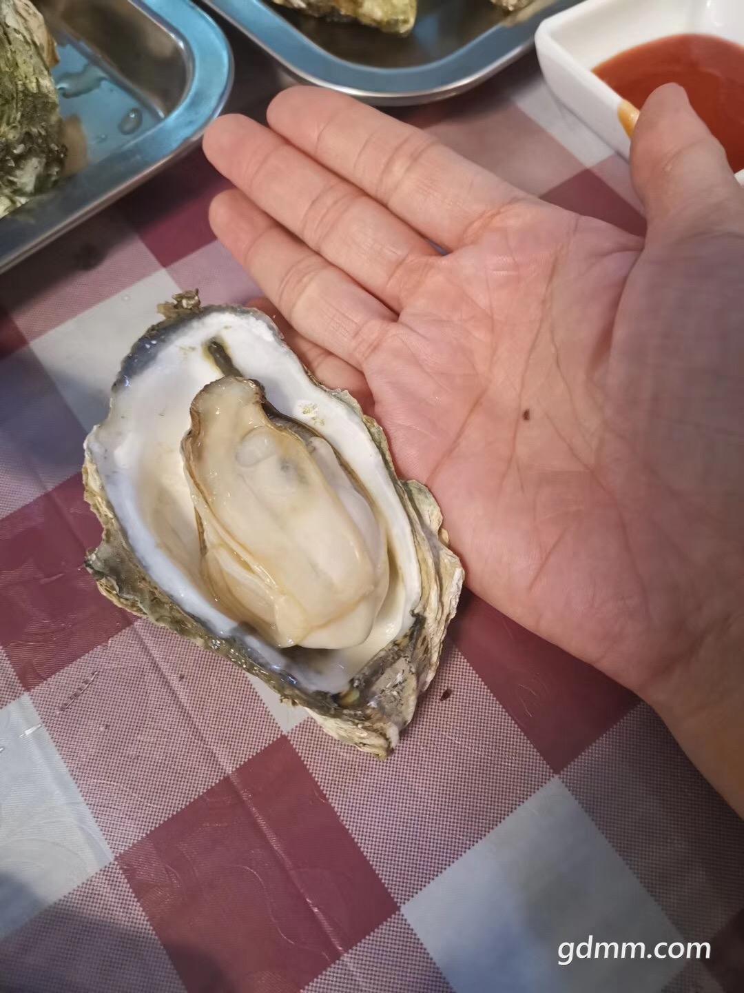 ΢ͼƬ_20190706103750.jpg