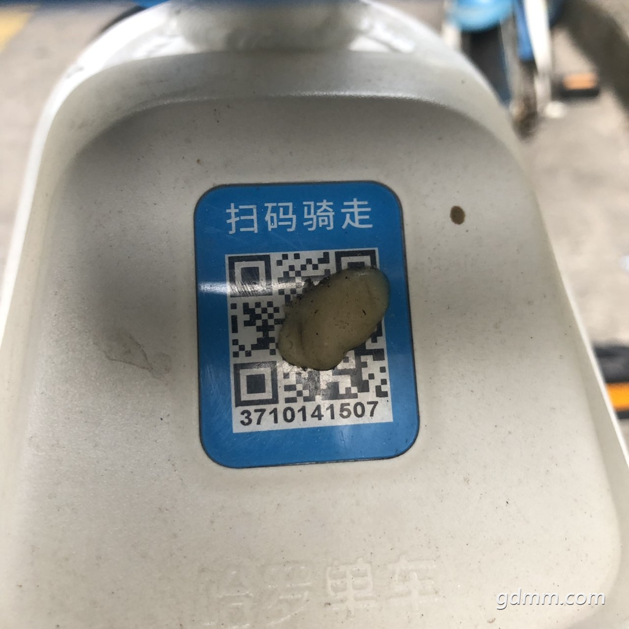 201907083273809156258525026058.jpg