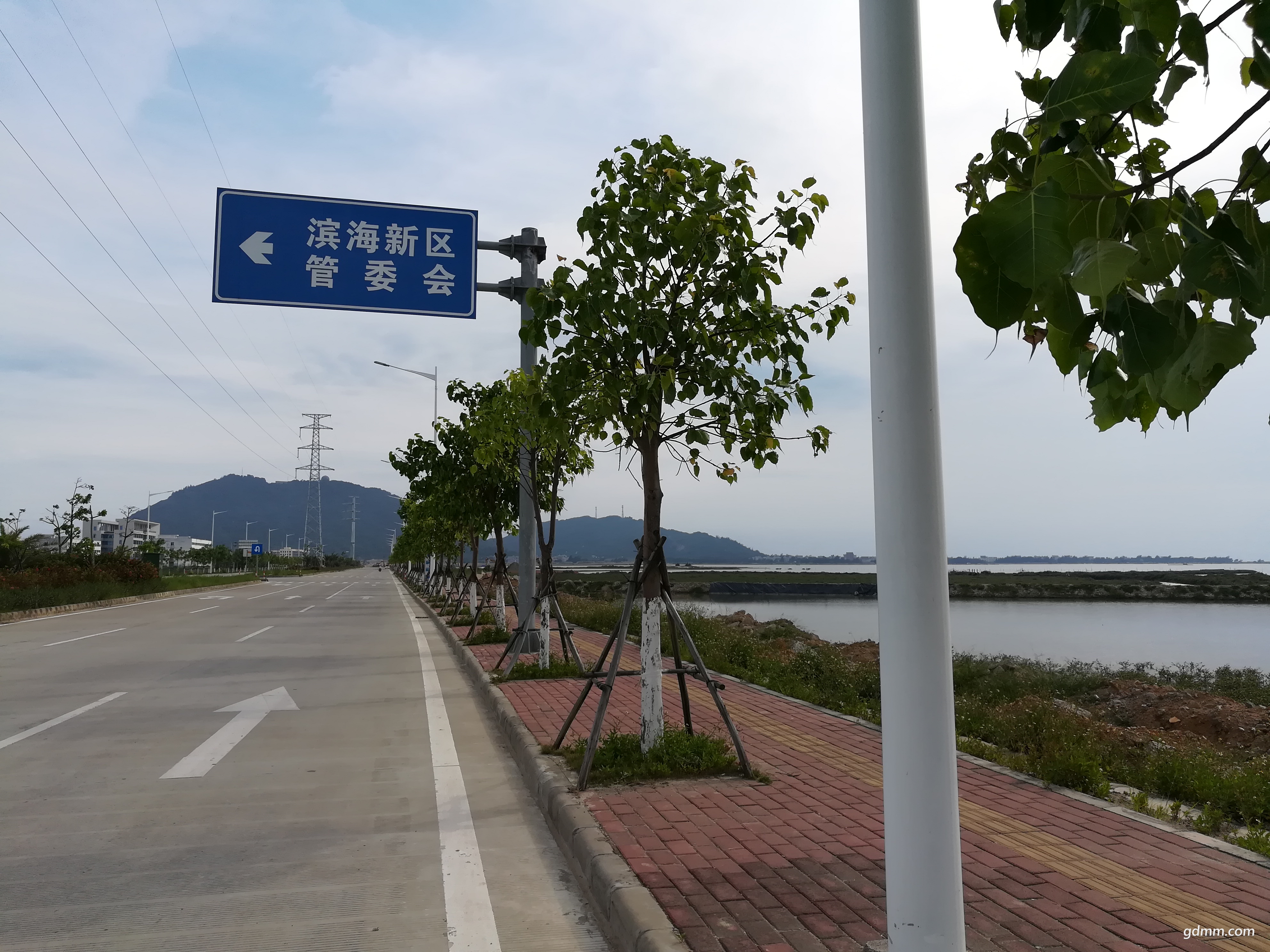 IMG_20190612_163357.jpg