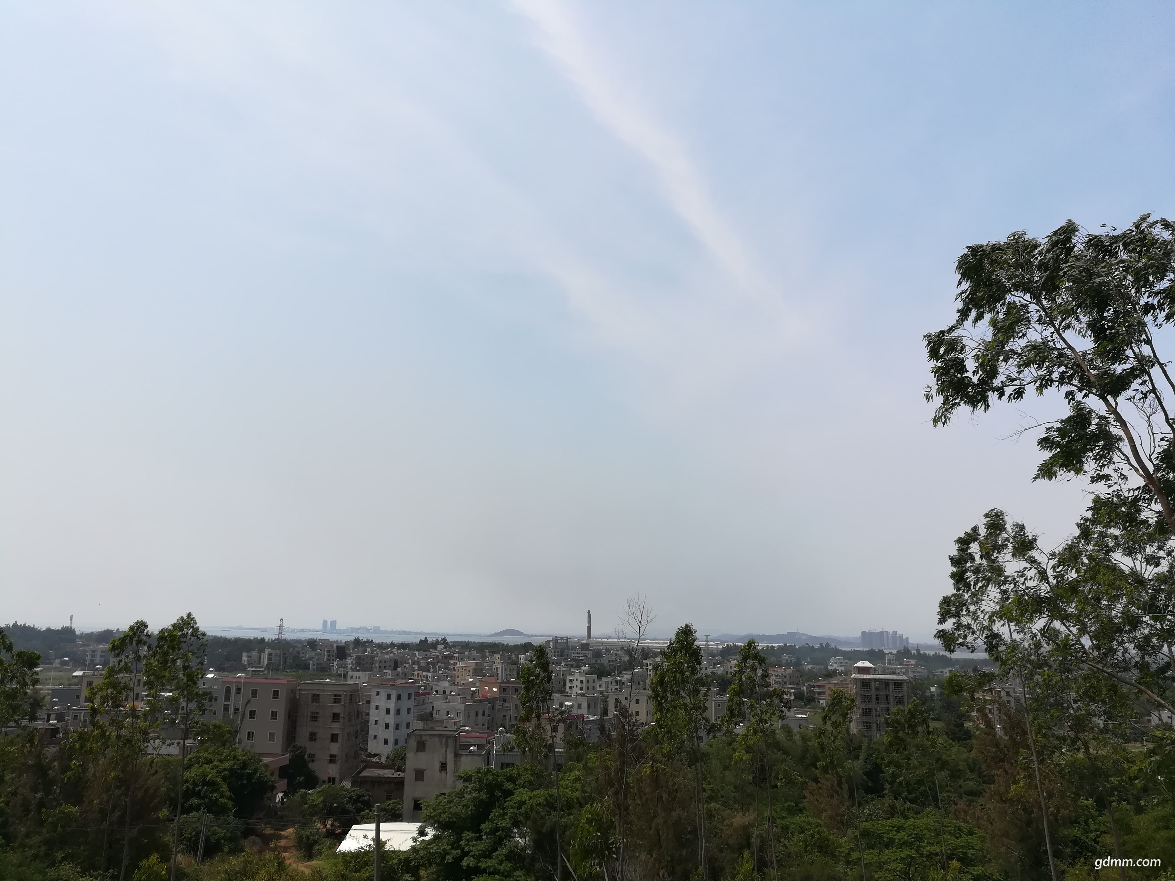 IMG_20190405_134516.jpg