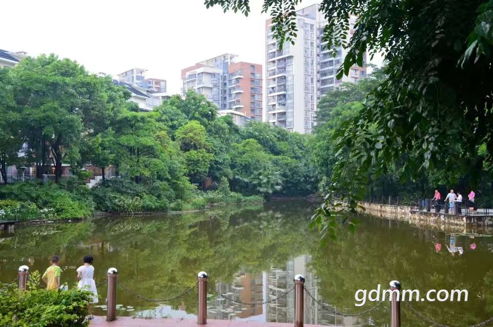 20190712_3267264_1562944993313.jpg