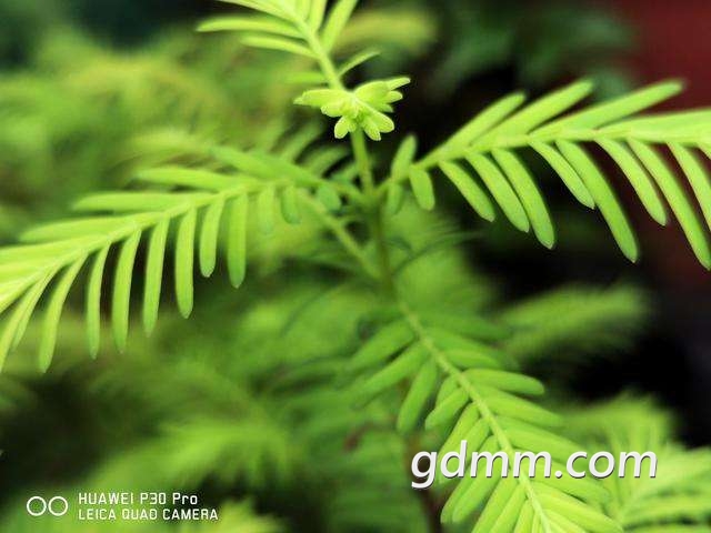 20190713_375653_1562981623817.jpg