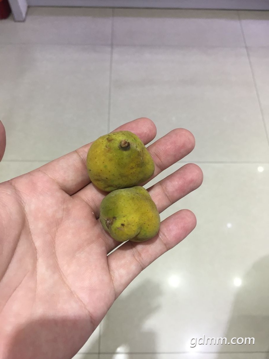 QQͼƬ20190713131901.jpg