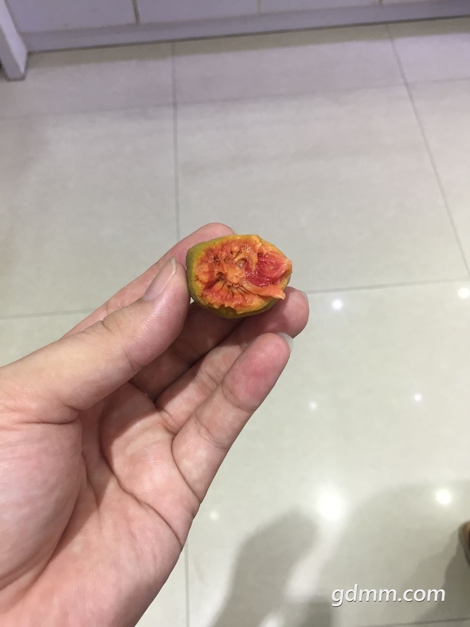 QQͼƬ20190713131905.jpg