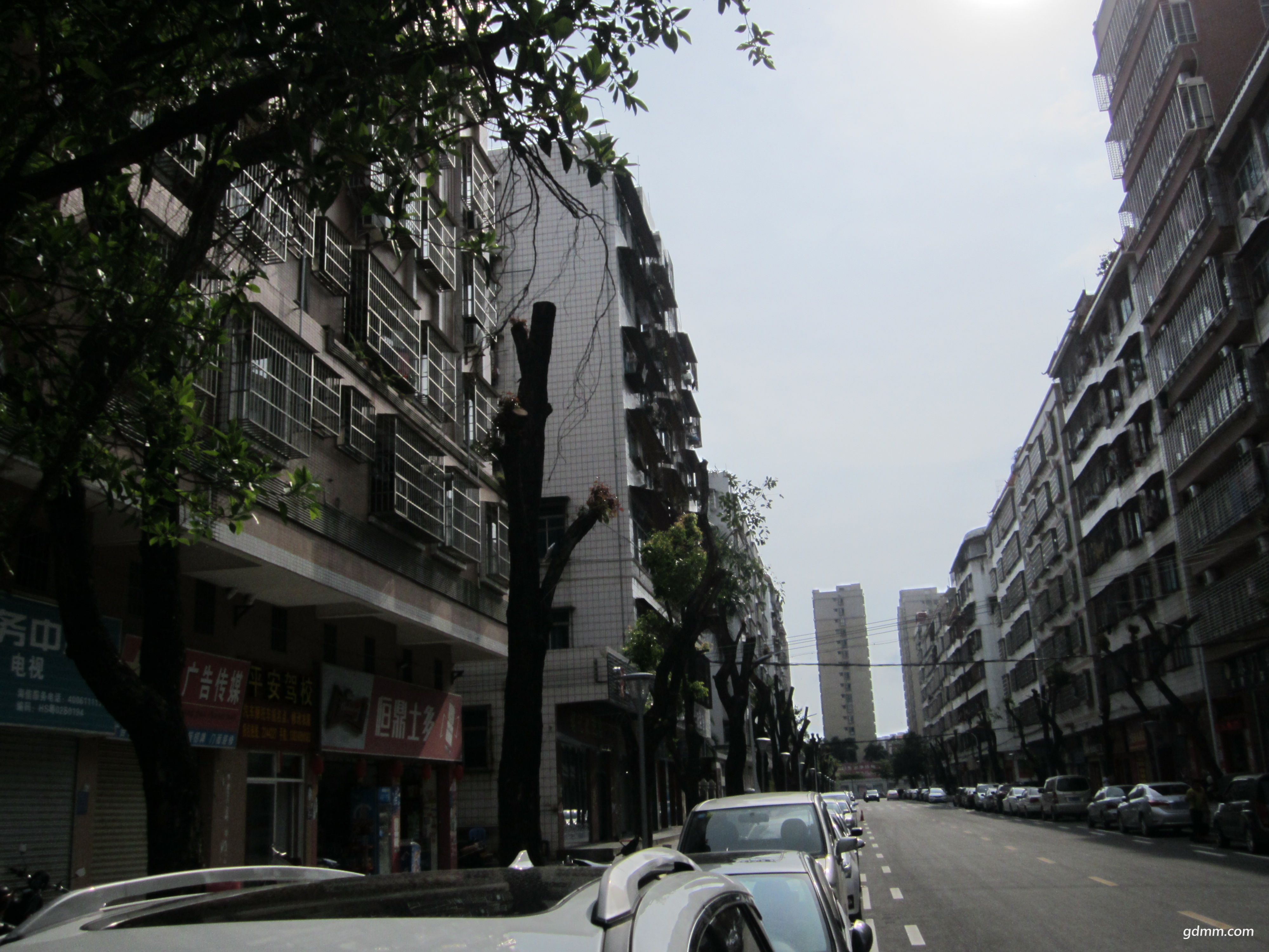 IMG_2346.JPG