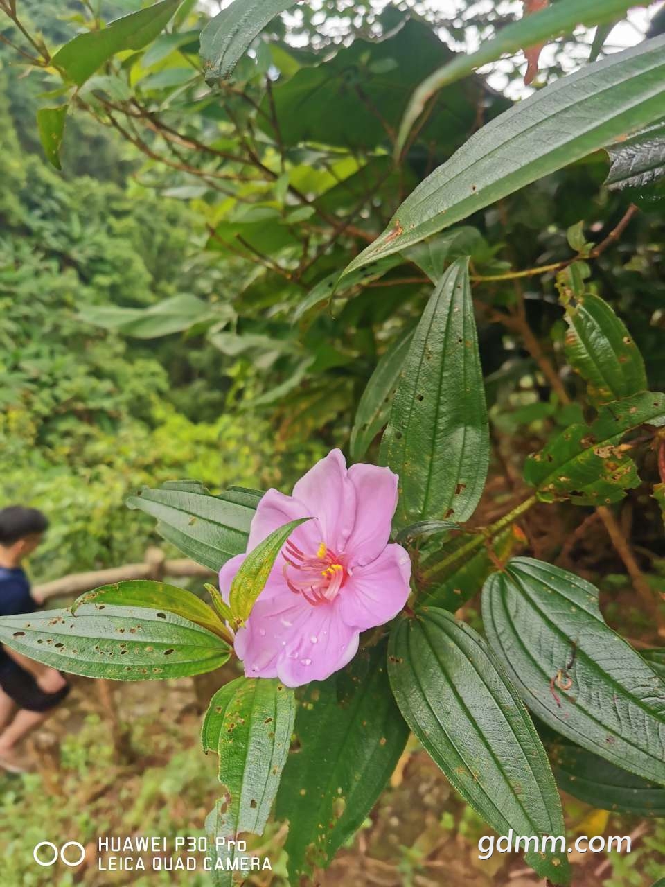 20190713_3286614_1563020196090.jpg