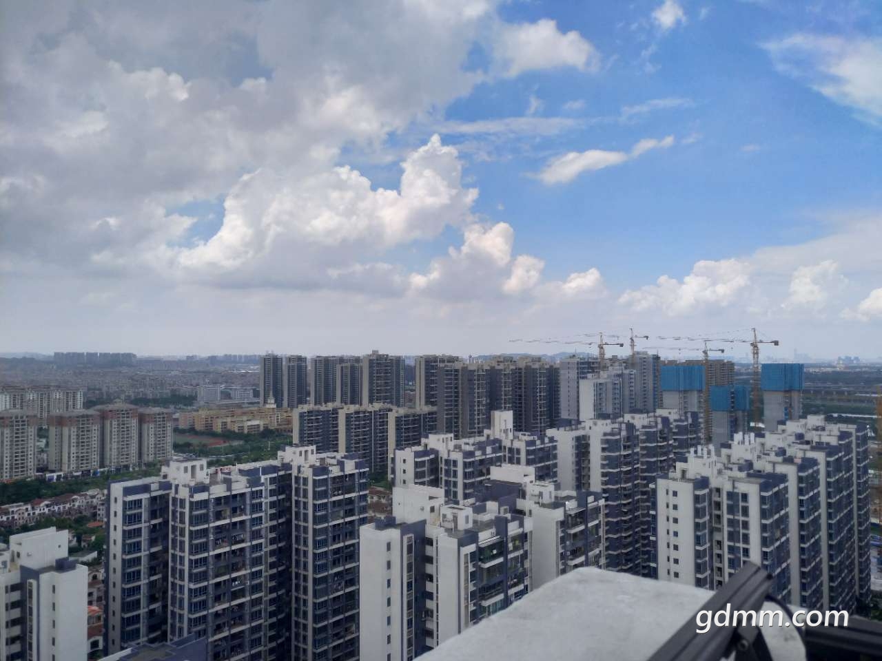 20190716_3256765_1563254467919.jpg