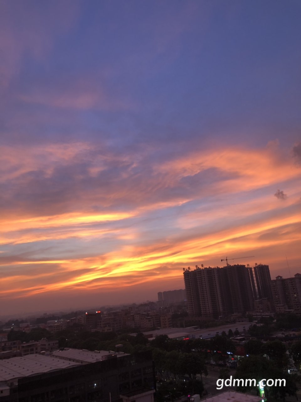 2019071832647561563397586309171.jpg