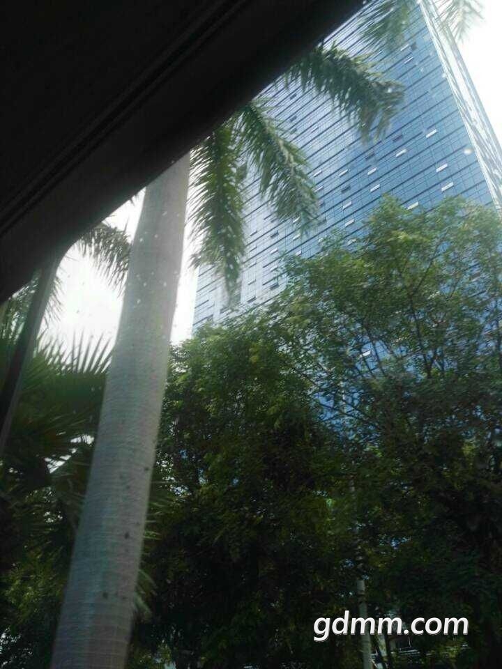 QQͼƬ20190718114348.jpg