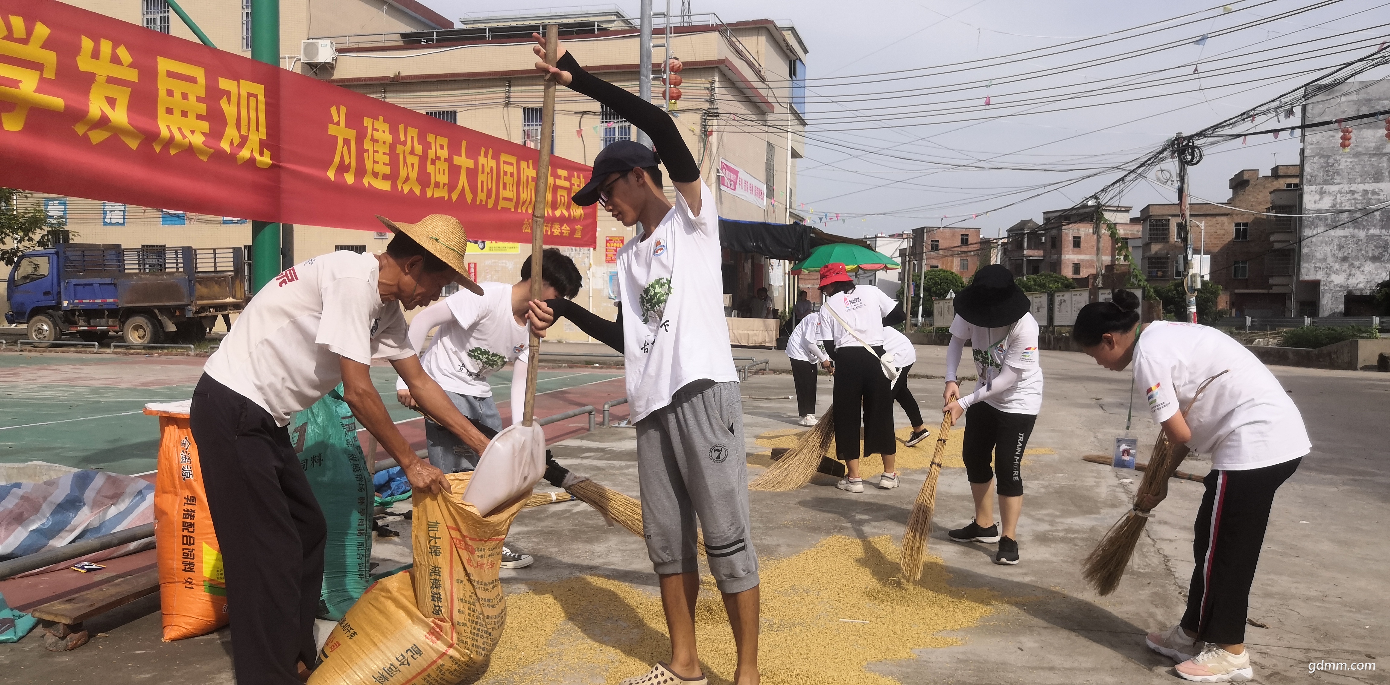 岭南师范学院古榕树下文化支教社会实践队共建组帮村民收稻谷