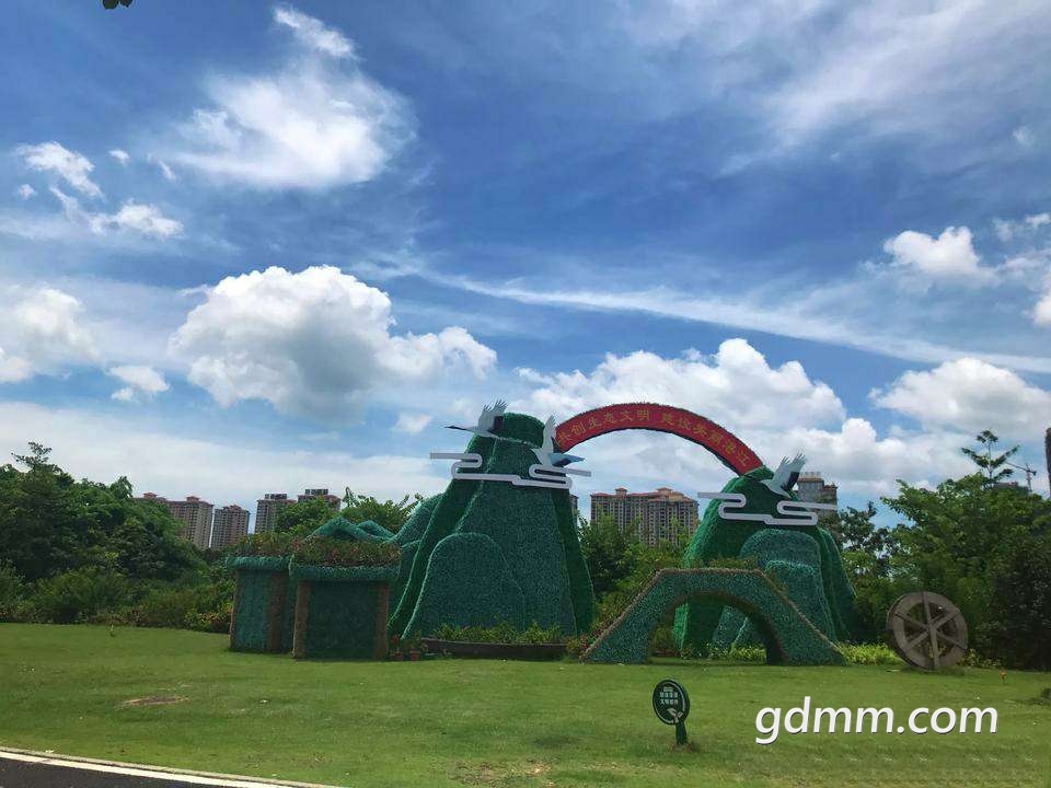 20190719_3211624_1563513151457.jpg