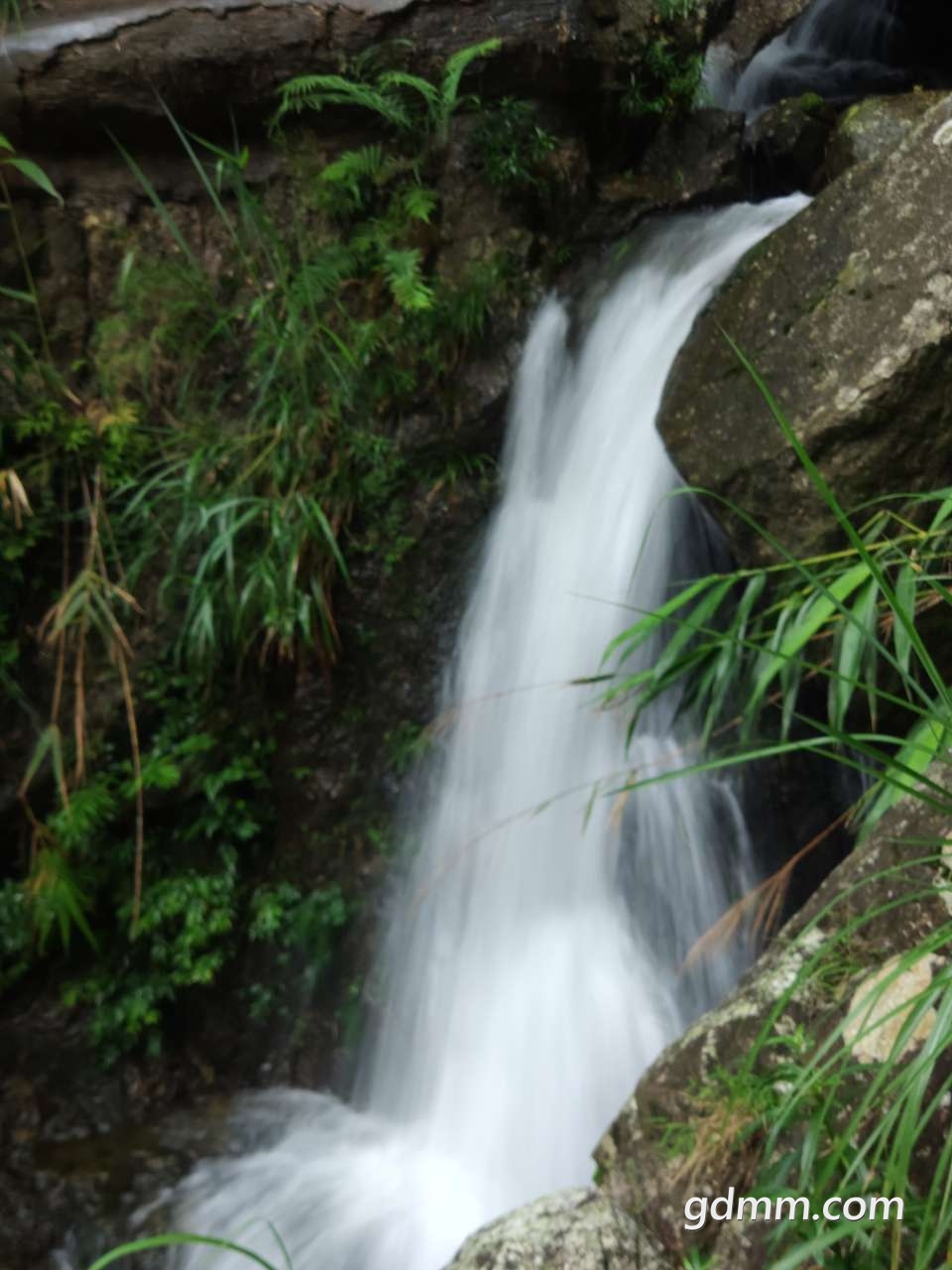 20190722_3274307_1563755382447.jpg