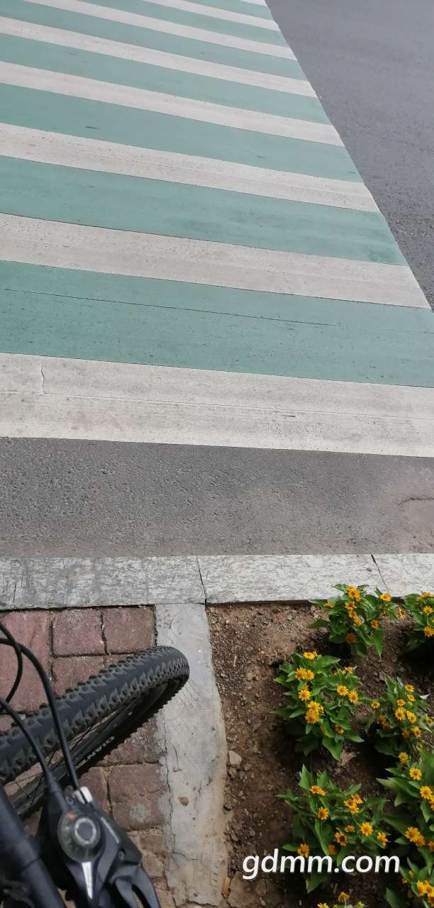 20190722_3195831_1563791648258.jpg