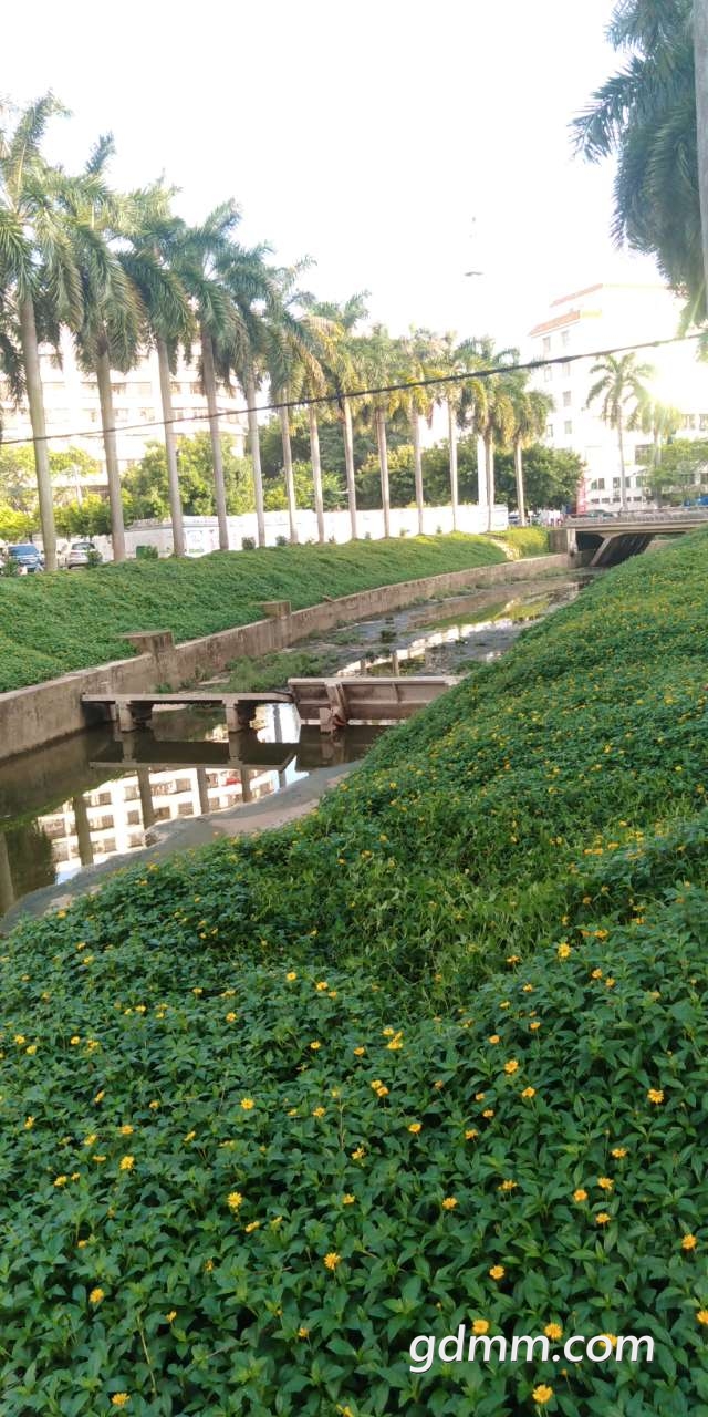 20190724_3270994_1563898831651.jpg