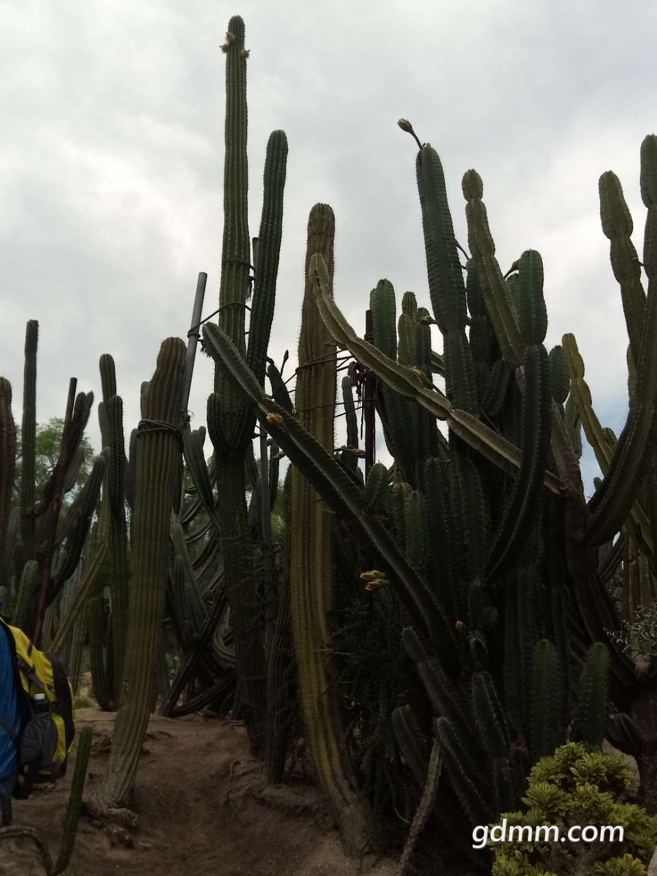 20190724_3242343_1563962817198.jpg