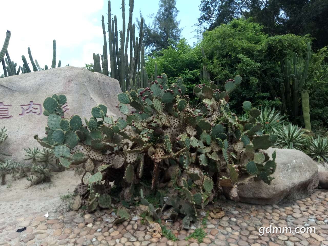 20190724_3242343_1563962817689.jpg