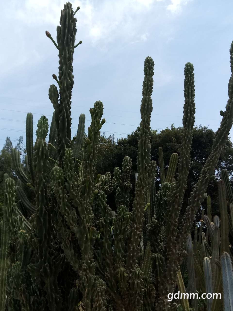 20190724_3242343_1563962819448.jpg
