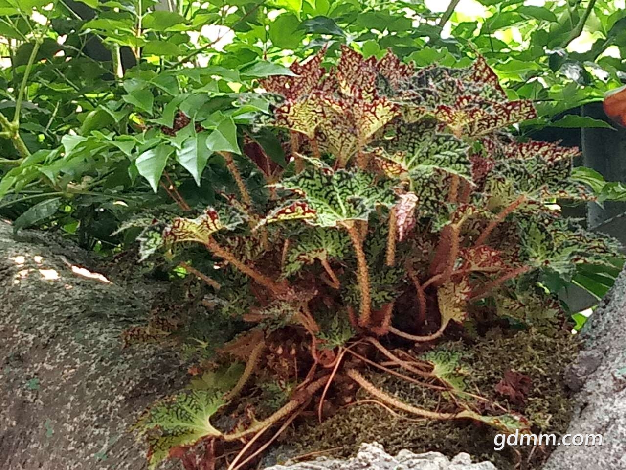 20190724_3242343_1563962986469.jpg