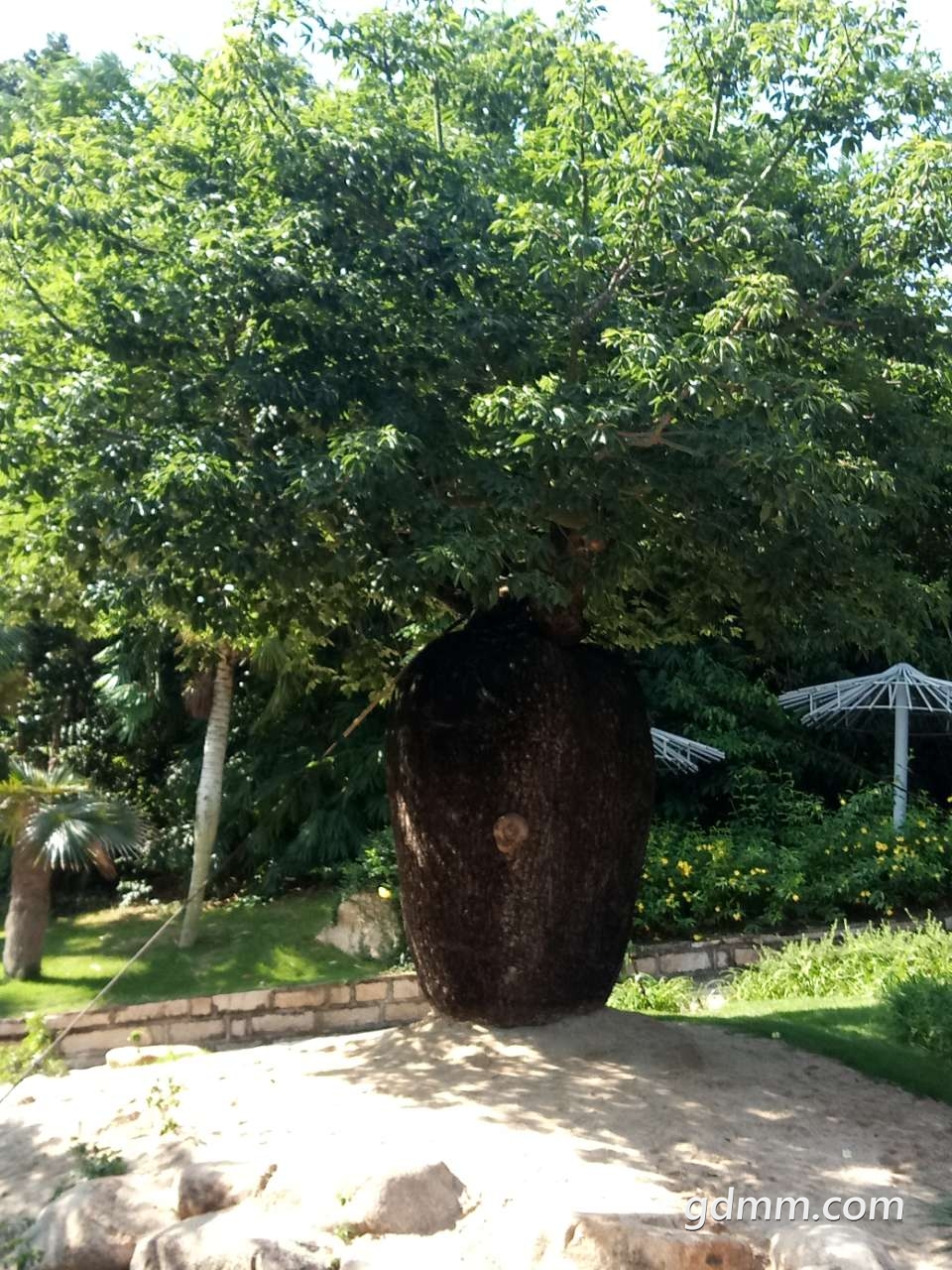 20190724_3242343_1563962985935.jpg