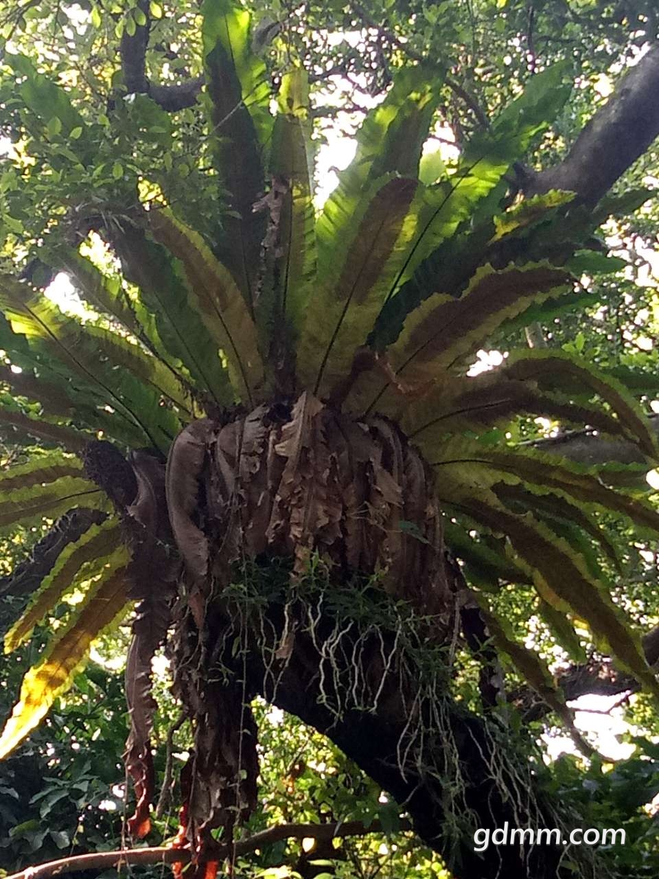 20190724_3242343_1563962990030.jpg