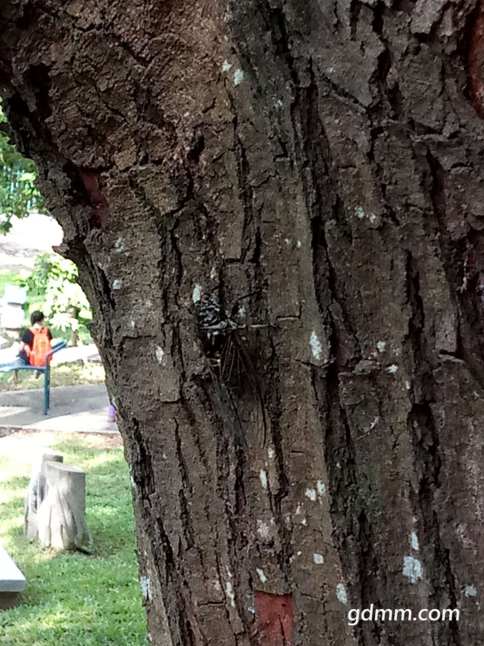 20190724_3242343_1563962989552.jpg
