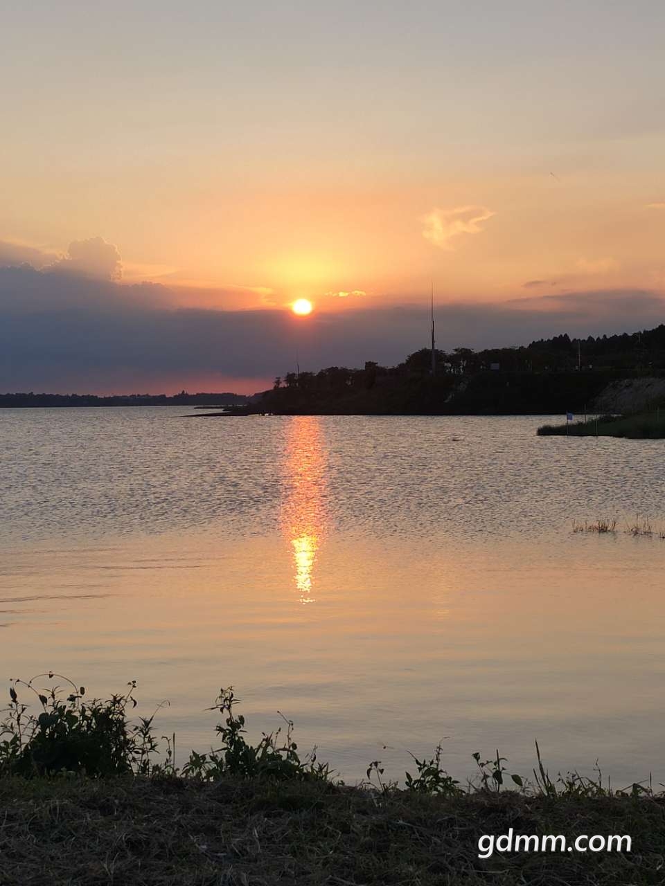 20190726_3266277_1564139377899.jpg