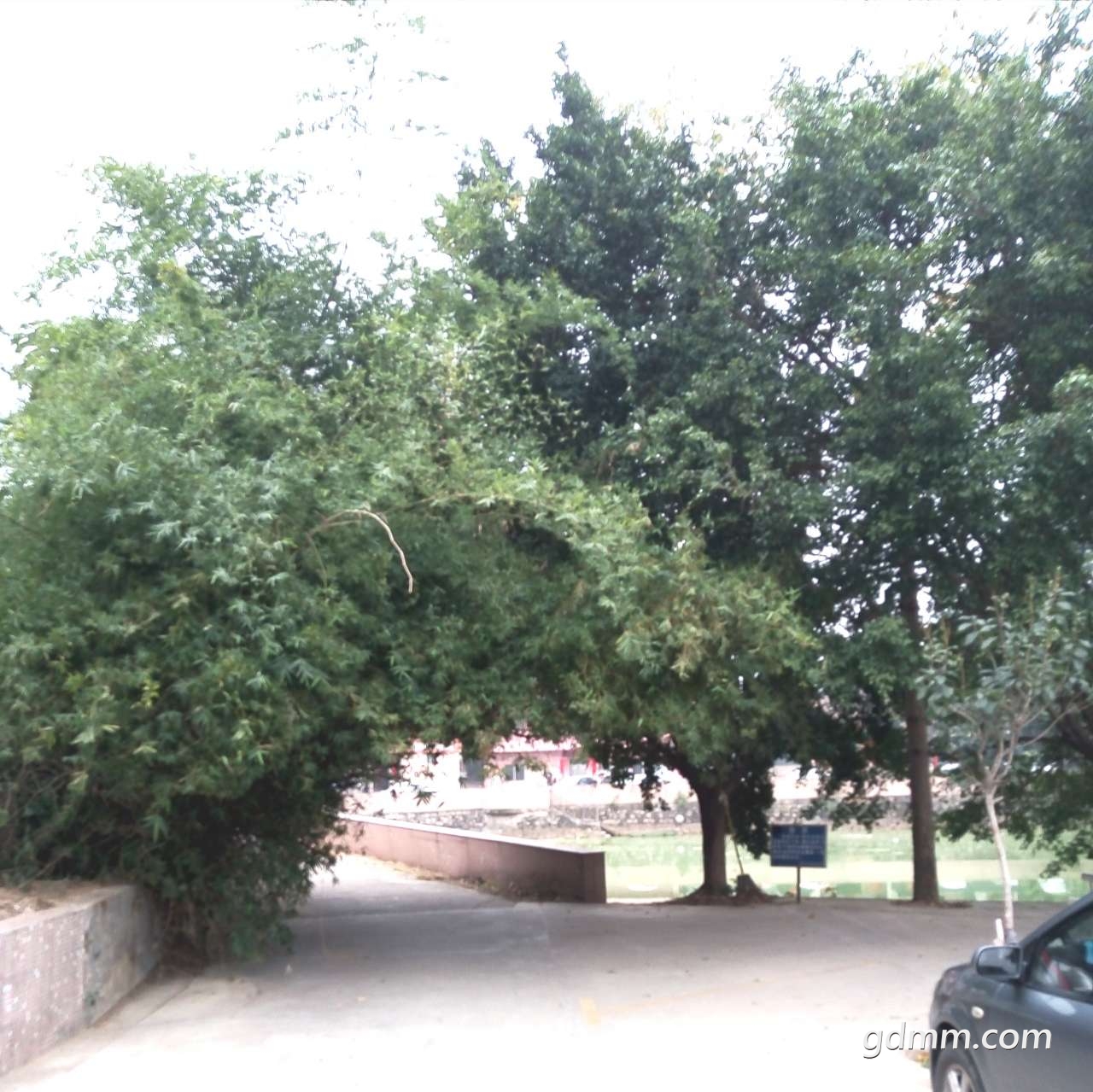 20190727_3277340_1564216816602.jpg