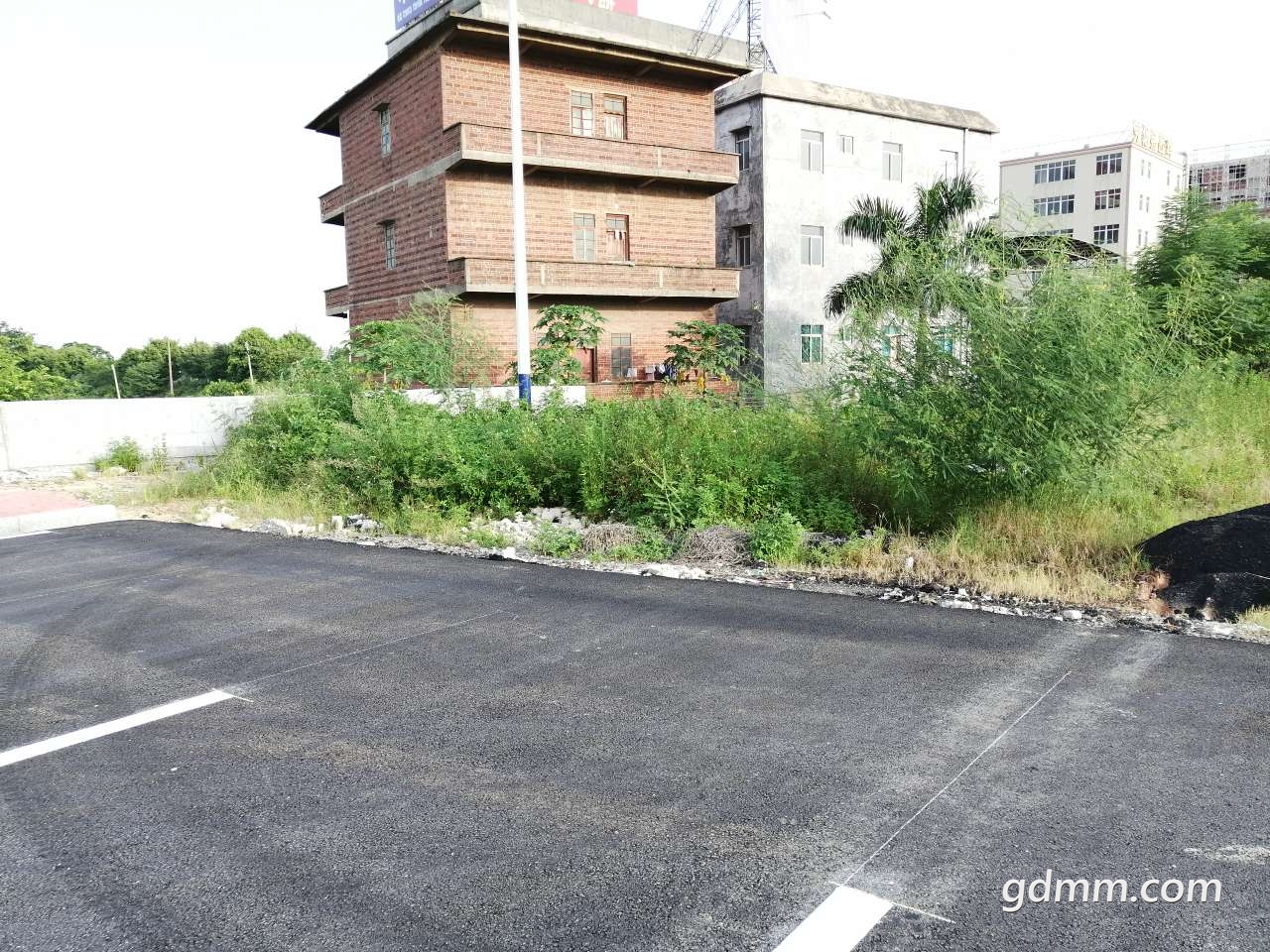 20190727_1590349_1564222396751.jpg