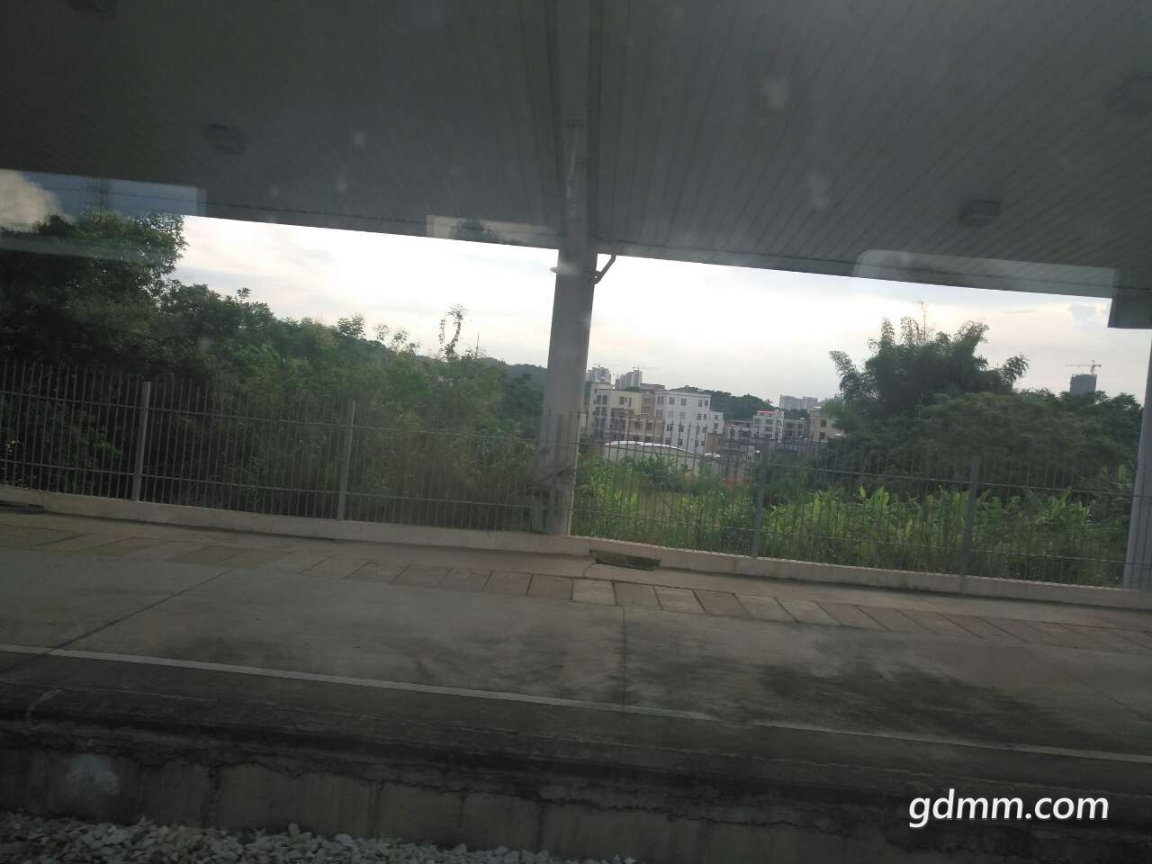 20190728_3274461_1564312108609.jpg
