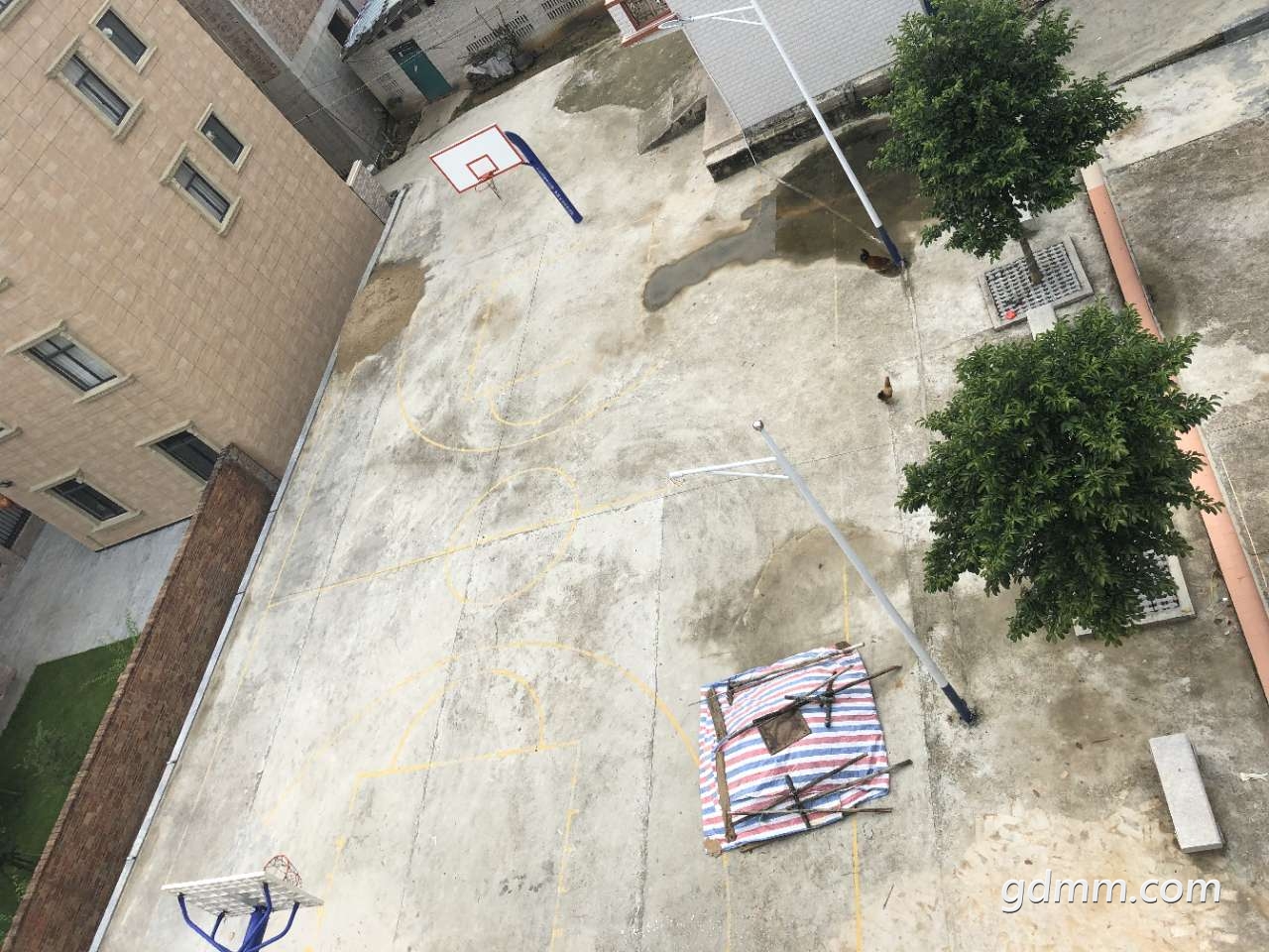 20190801_3287271_1564632683631.jpg