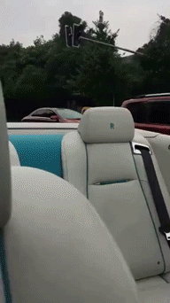2019080132685651564668760495193.gif